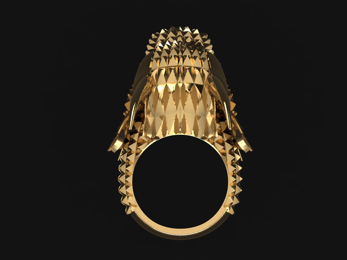Dragon Ring view 3