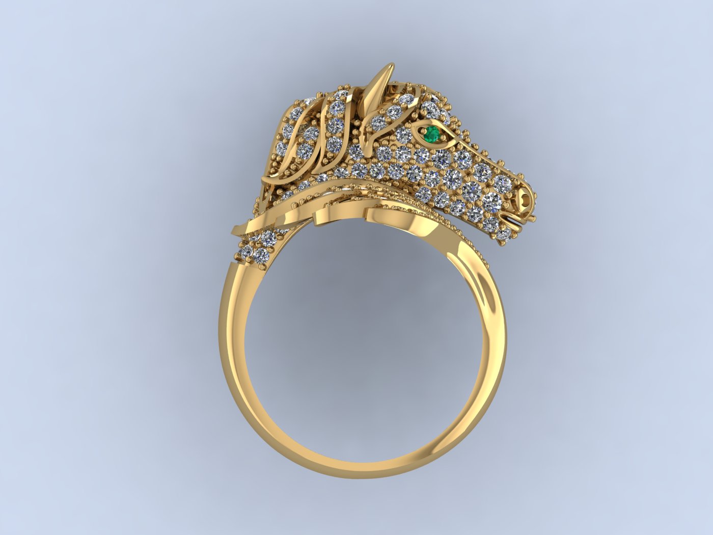 Horse Ring view 3