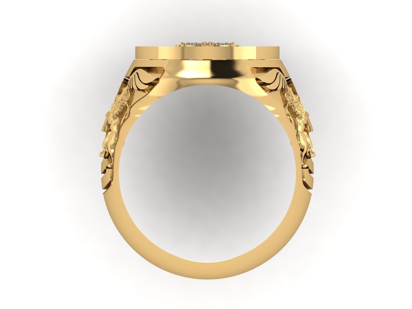School Ring view 3