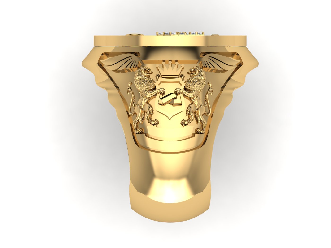 School Ring view 4
