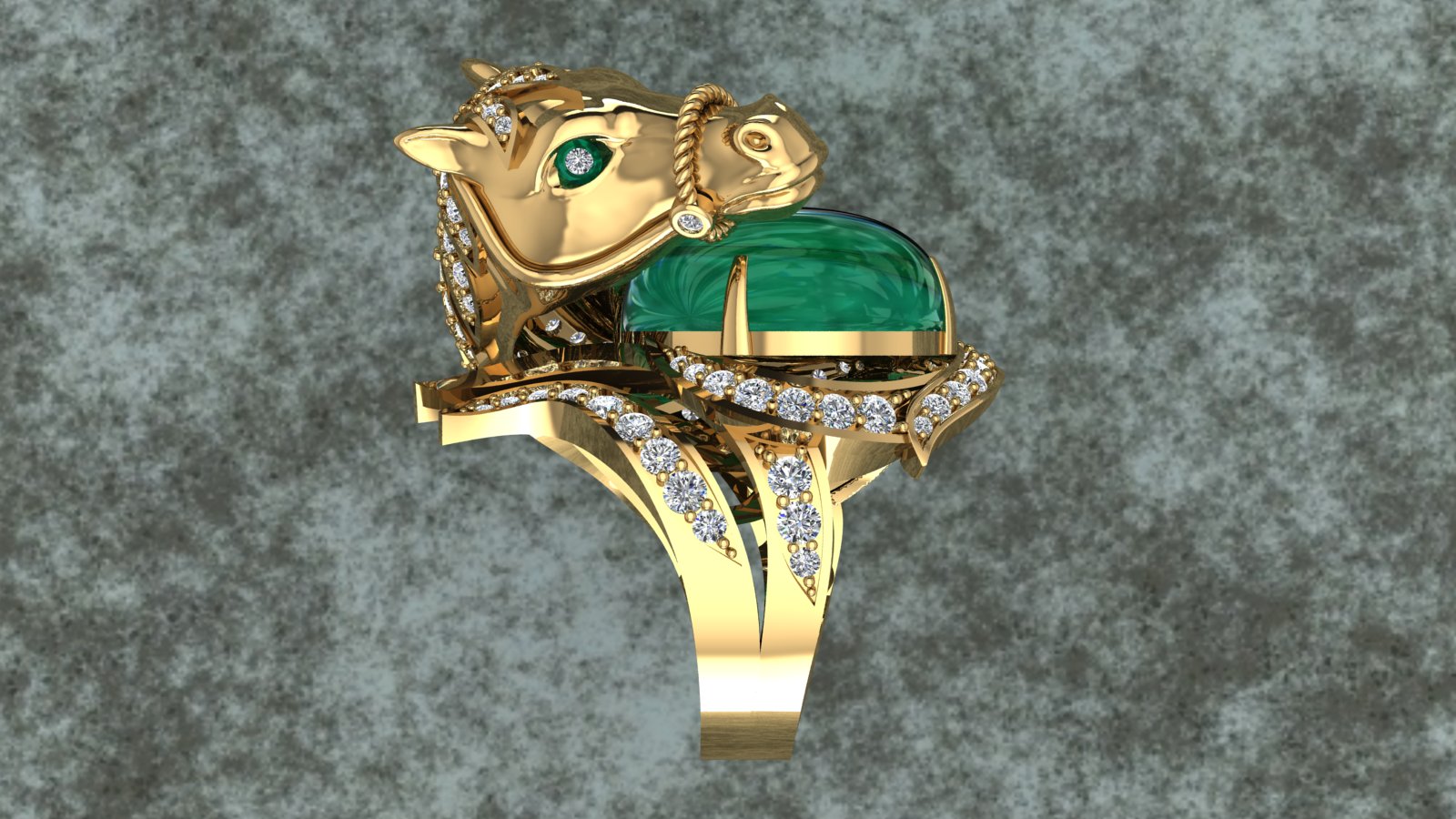Horse Ring view 5