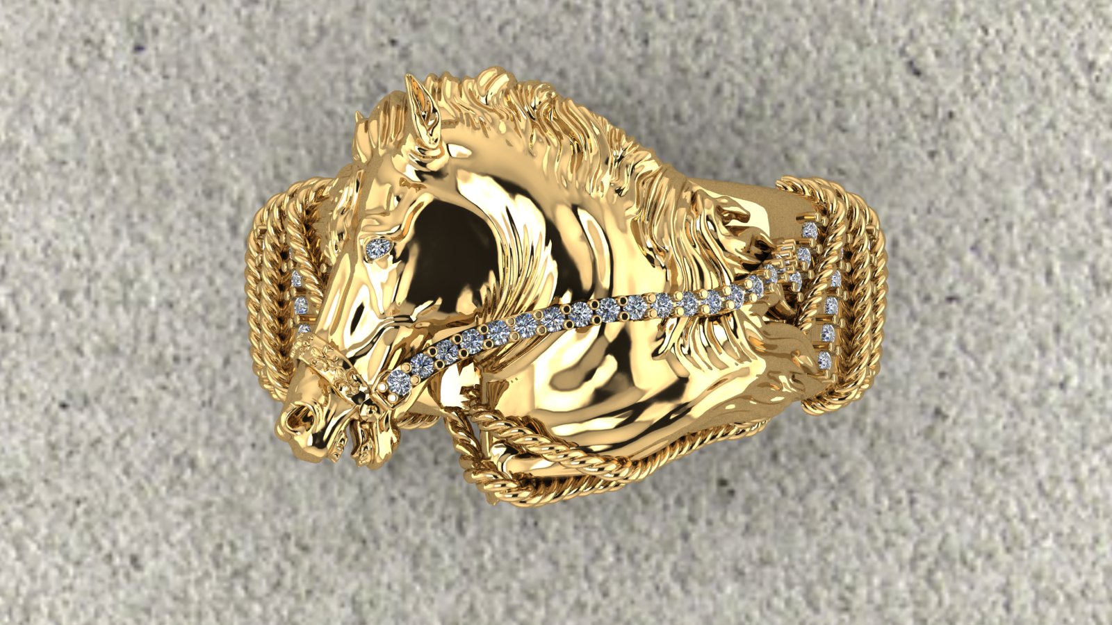 Horse Ring view 6