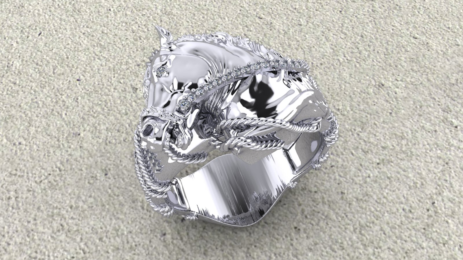Horse Ring view 2