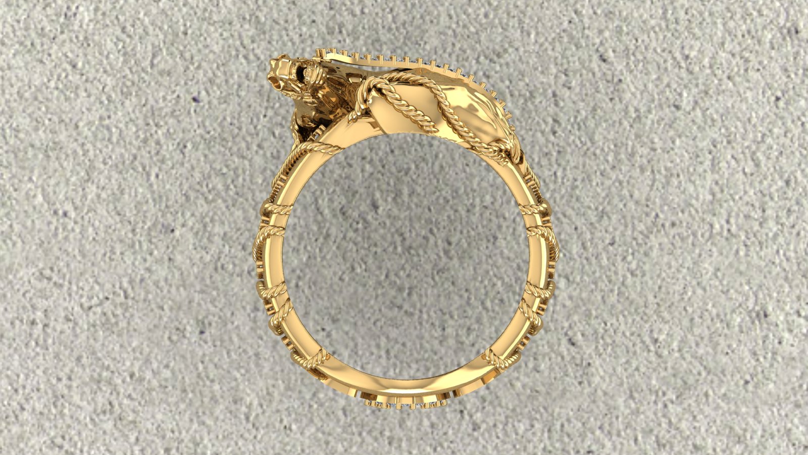 Horse Ring view 3
