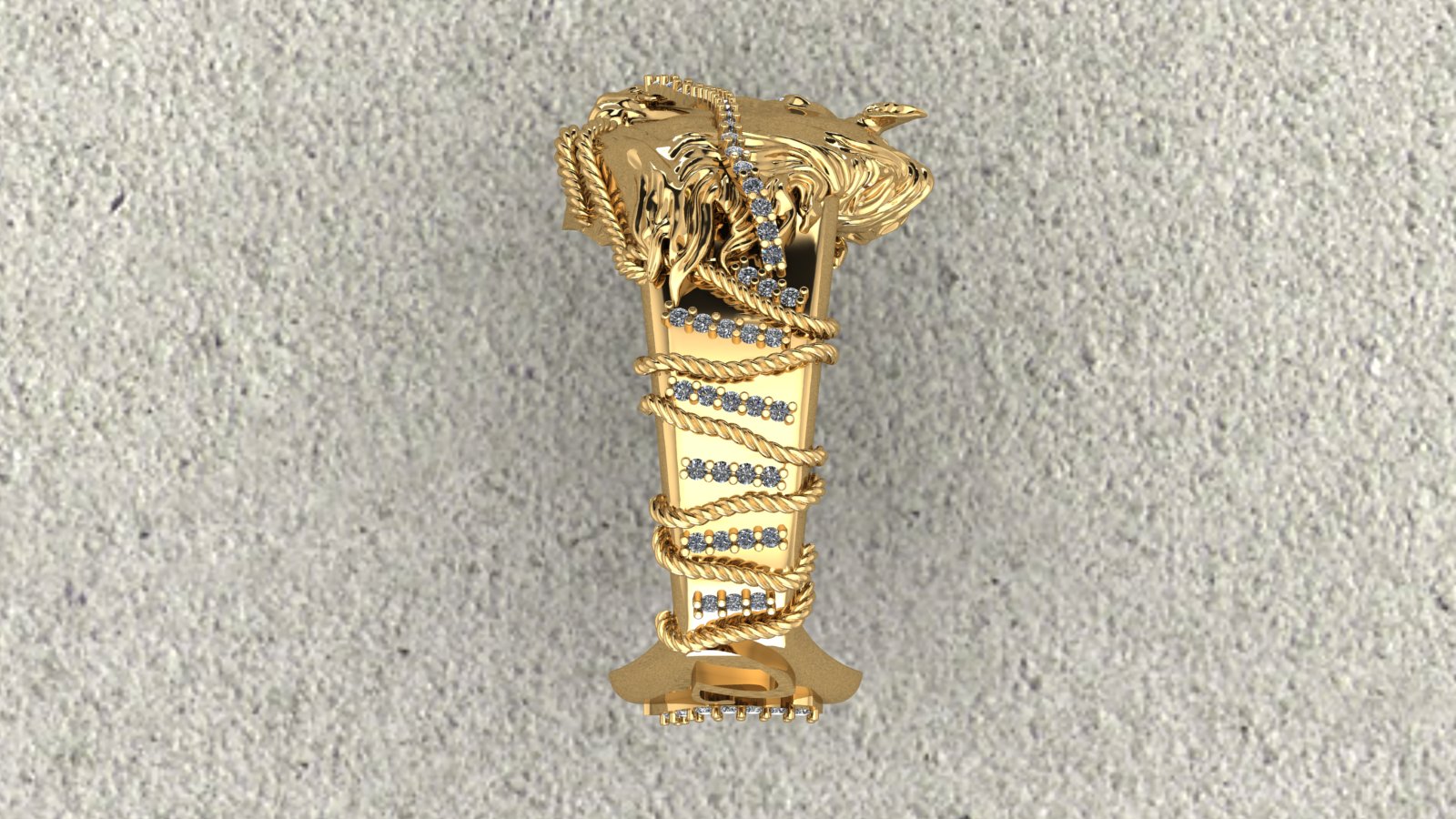 Horse Ring view 4