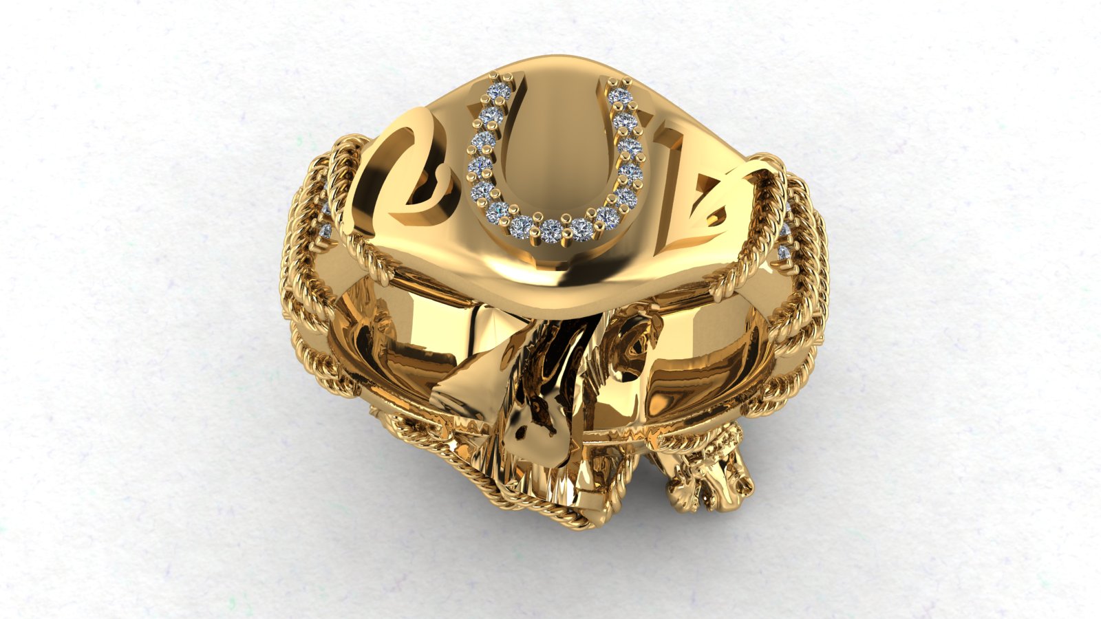 Horse Ring view 5
