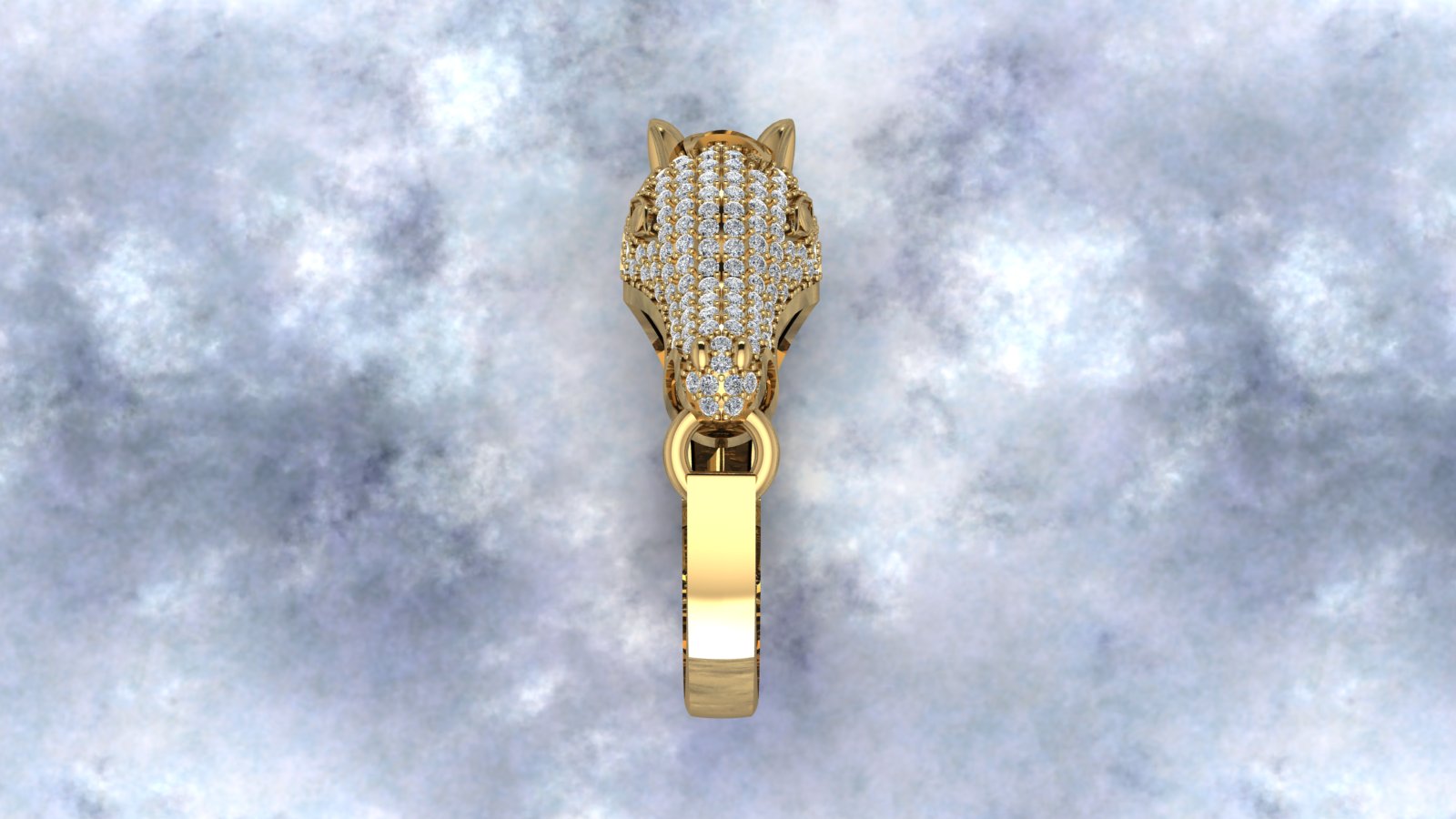Horse Ring view 4