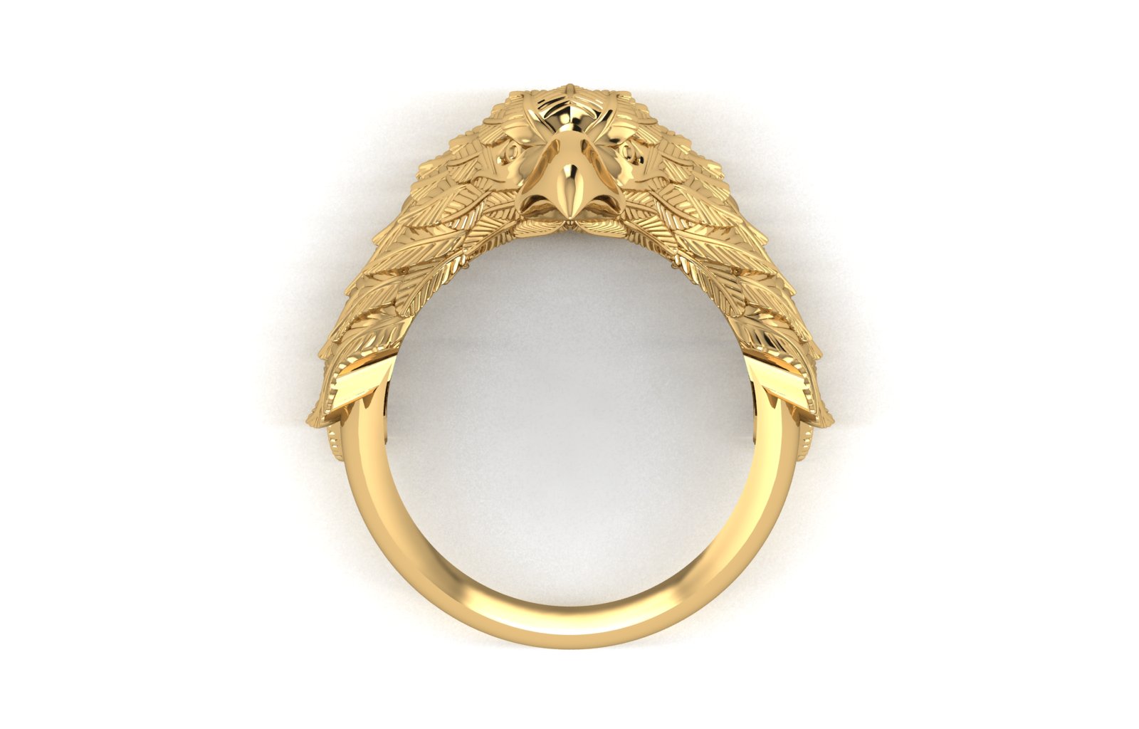 Eagle Ring view 3