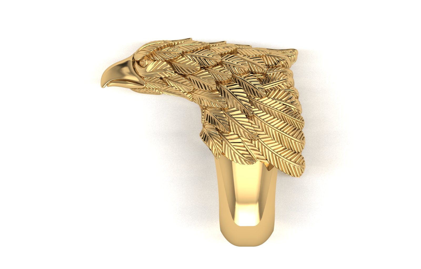 Eagle Ring view 4
