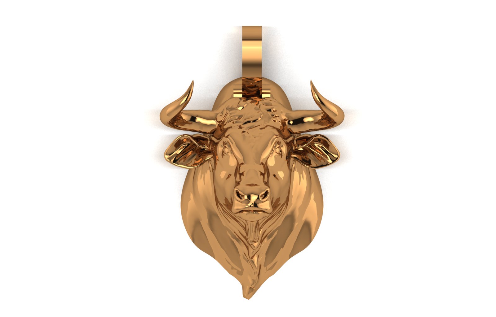 Bull view 2
