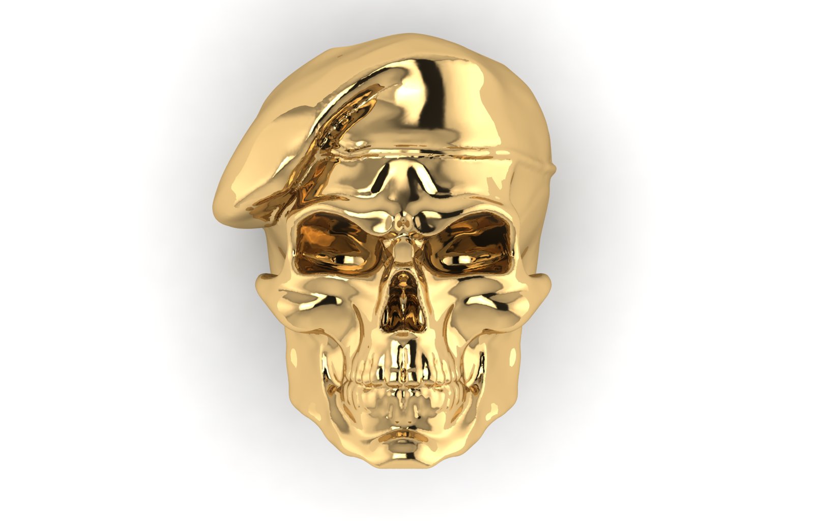 Special Forces view 2