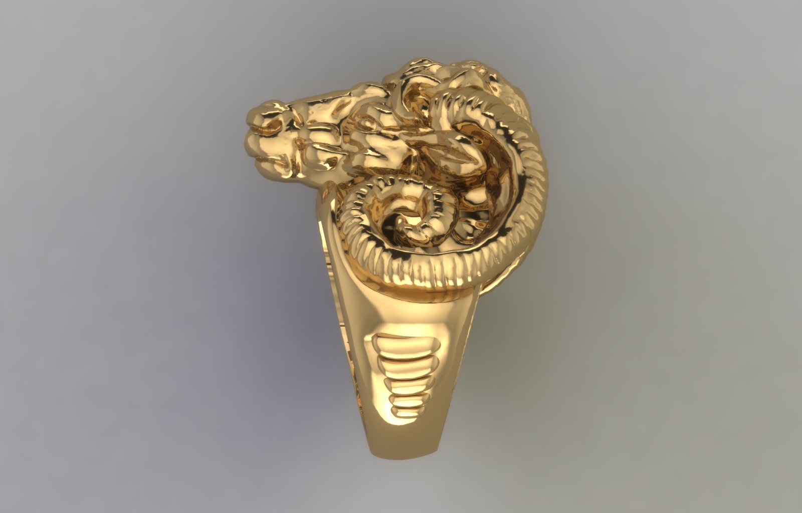 Aries view 5