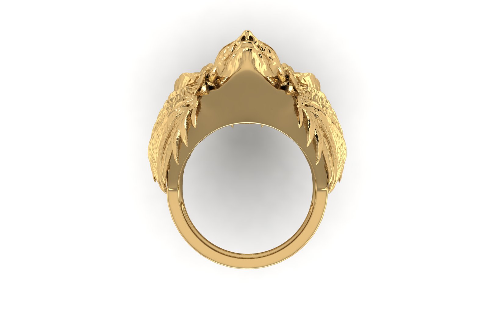 Ancient Ring view 3