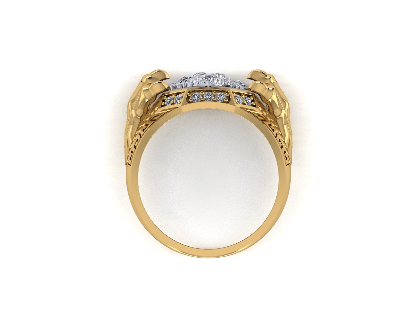Dragon Ring view 3