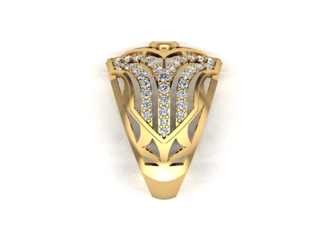 Fancy Ring view 4