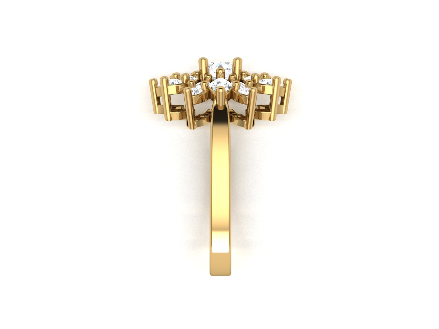 Fancy Ring view 4