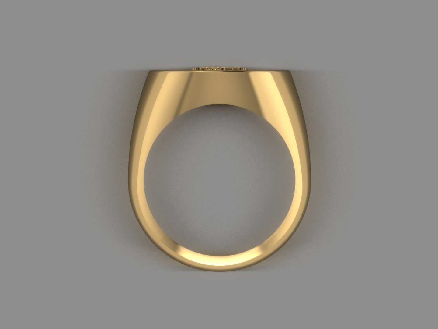 School Ring view 3