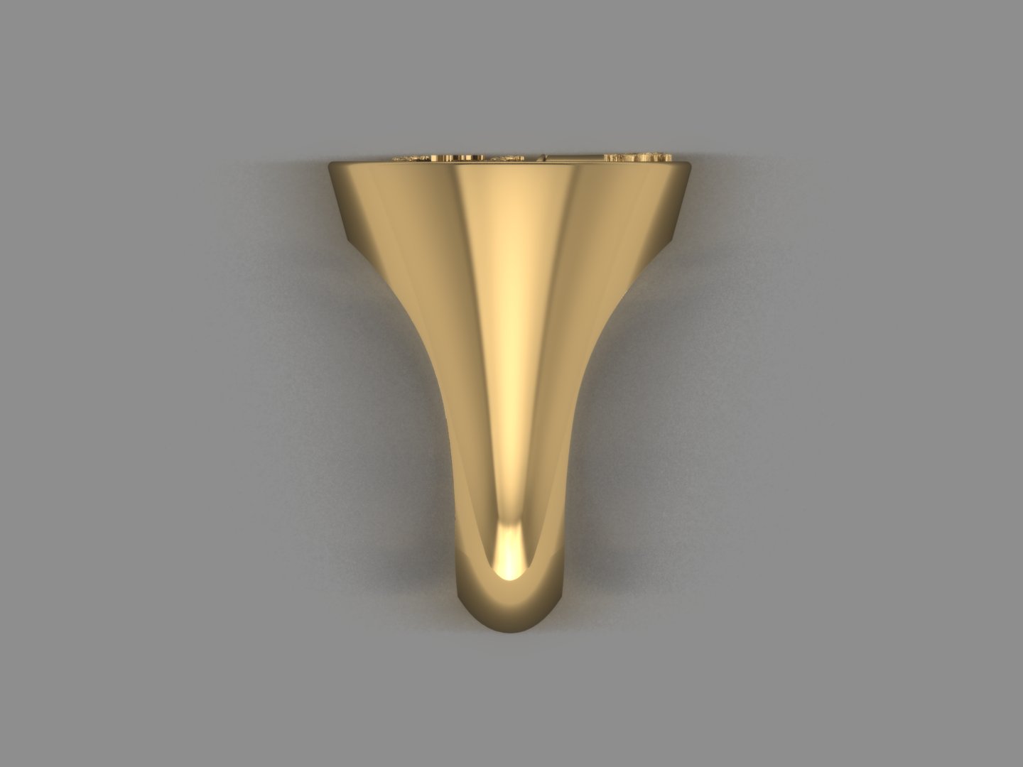 School Ring view 4