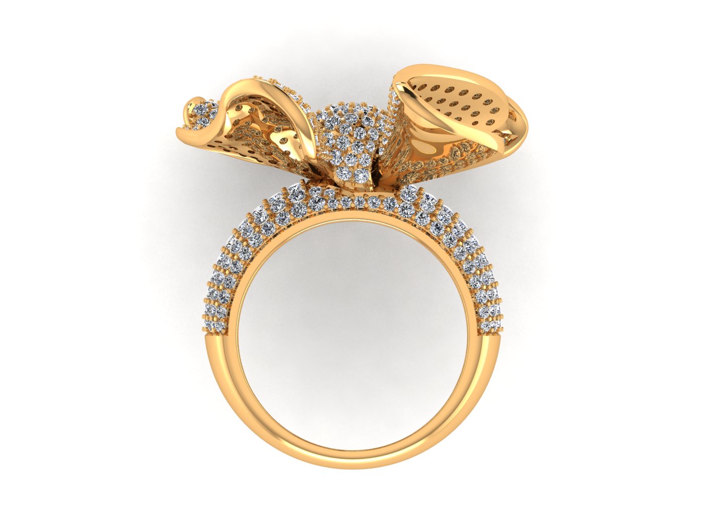 Fancy Ring view 3