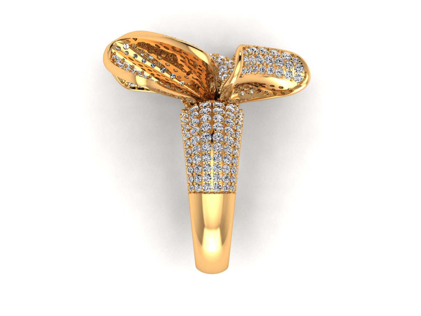 Fancy Ring view 4