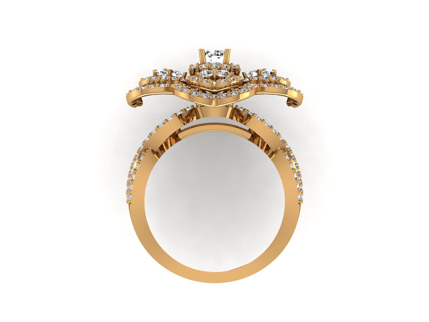 Fancy Ring view 3