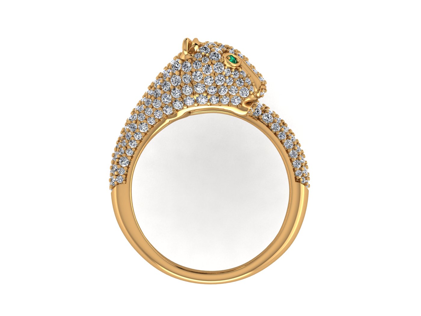 Cougar Ring view 5