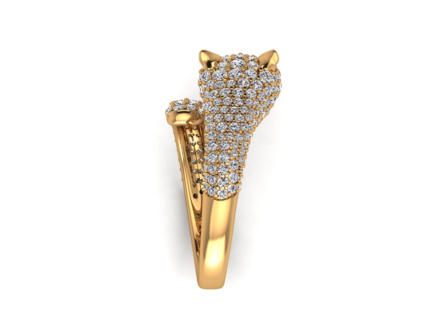 Cougar Ring view 3