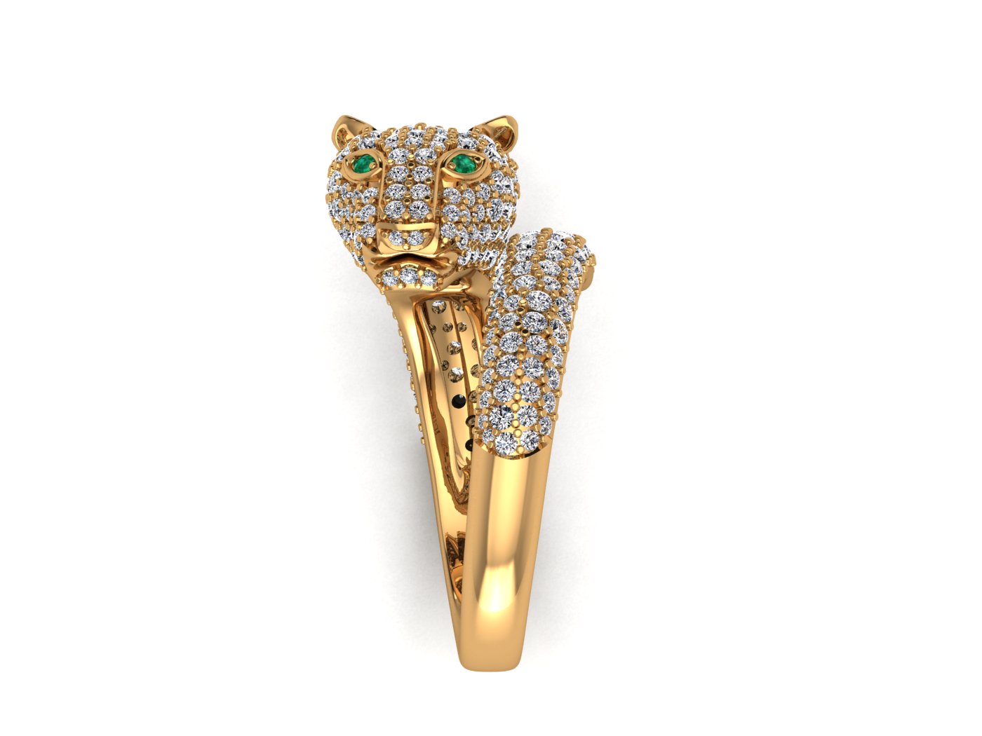 Cougar Ring view 4