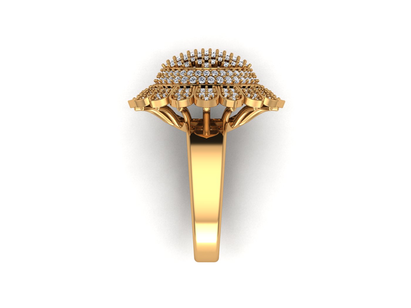 Fancy Ring view 4