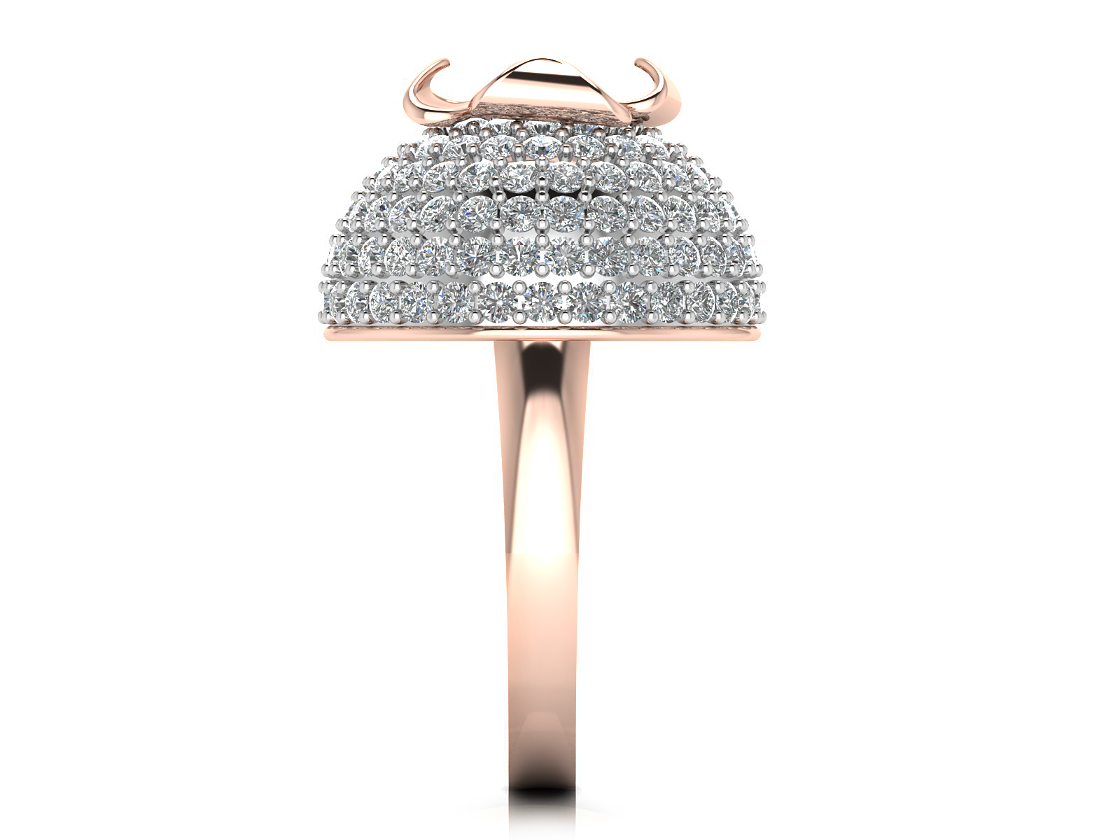 Fancy Ring view 4