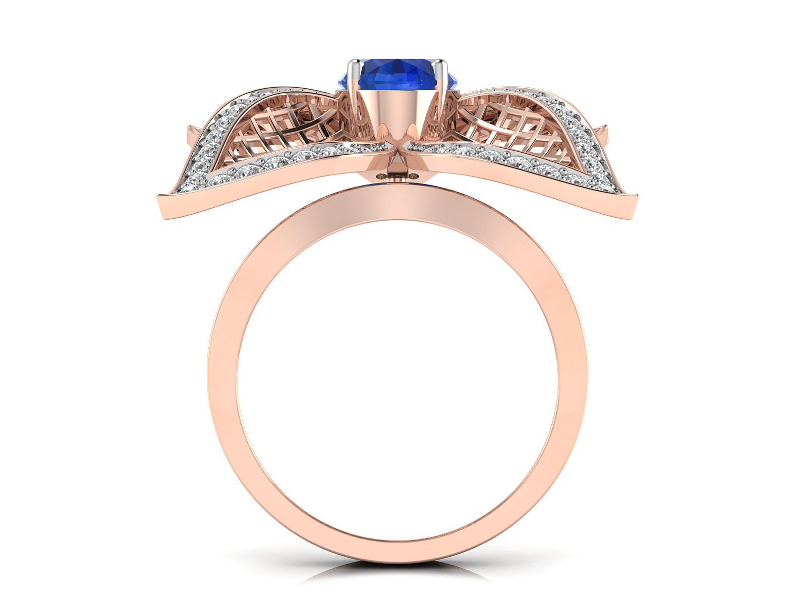 Fancy Ring view 2