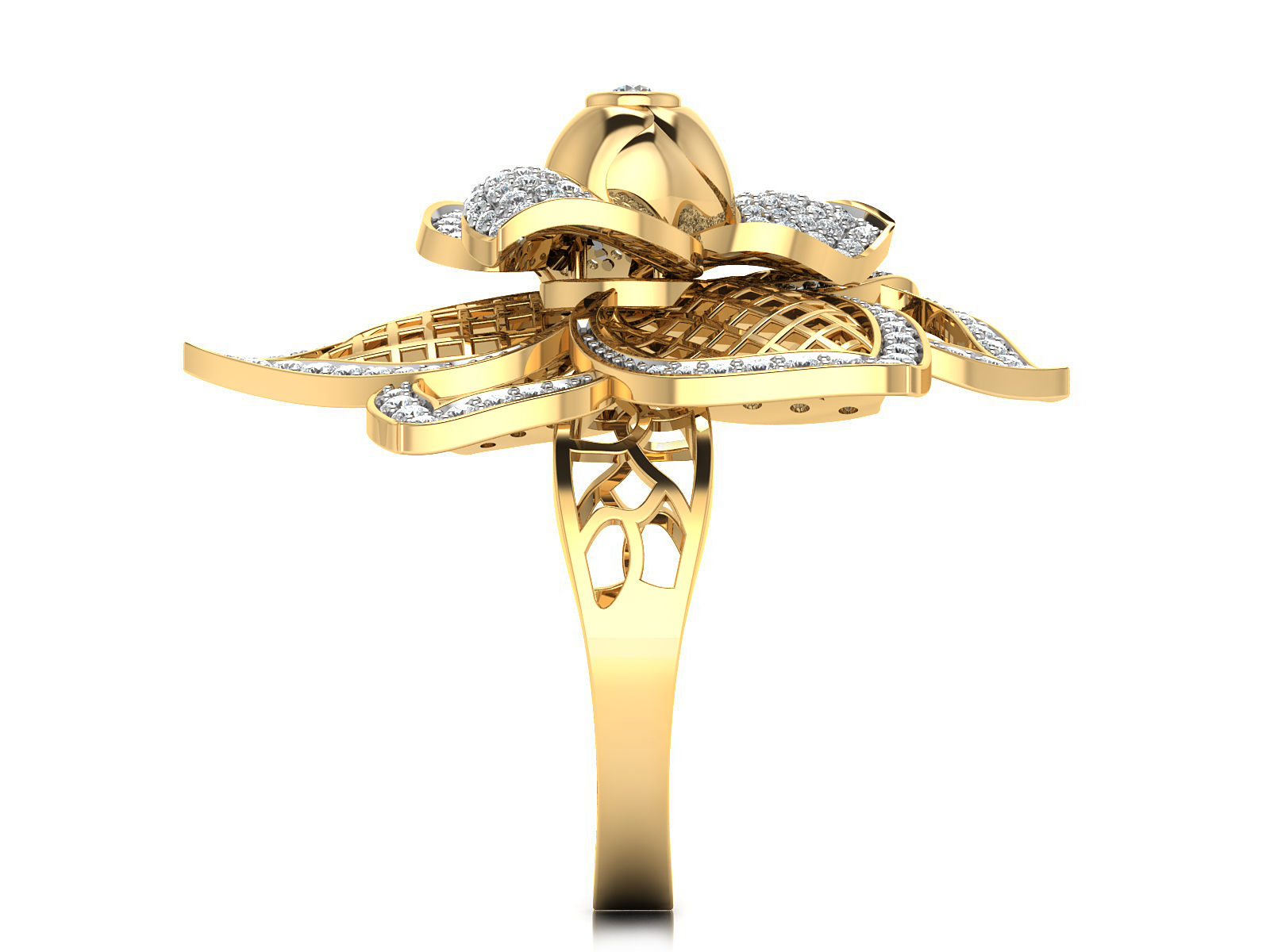 Fancy Ring view 3
