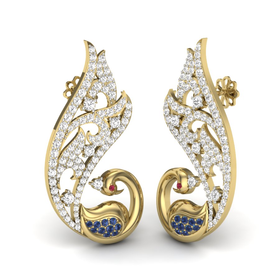 Earrings
