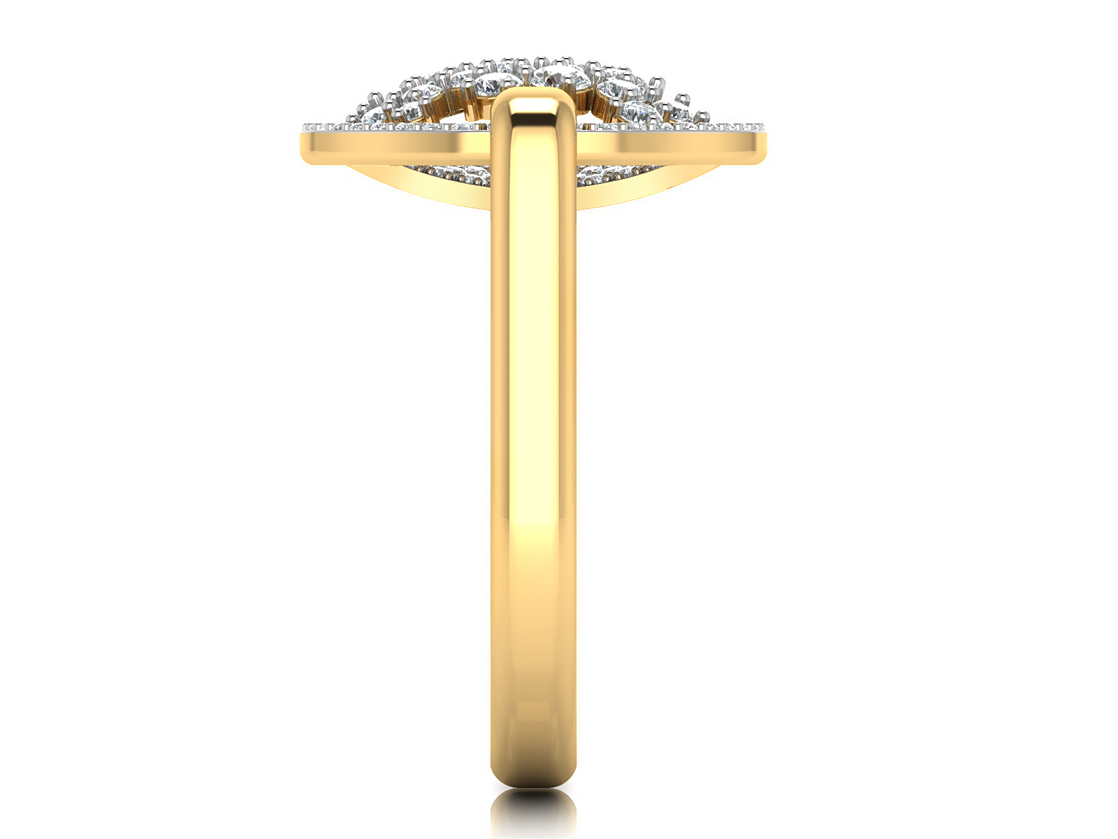 Fancy Ring view 3