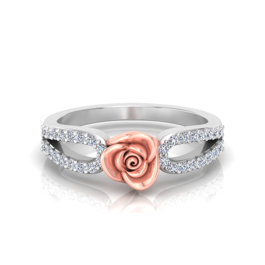 Roses view 4