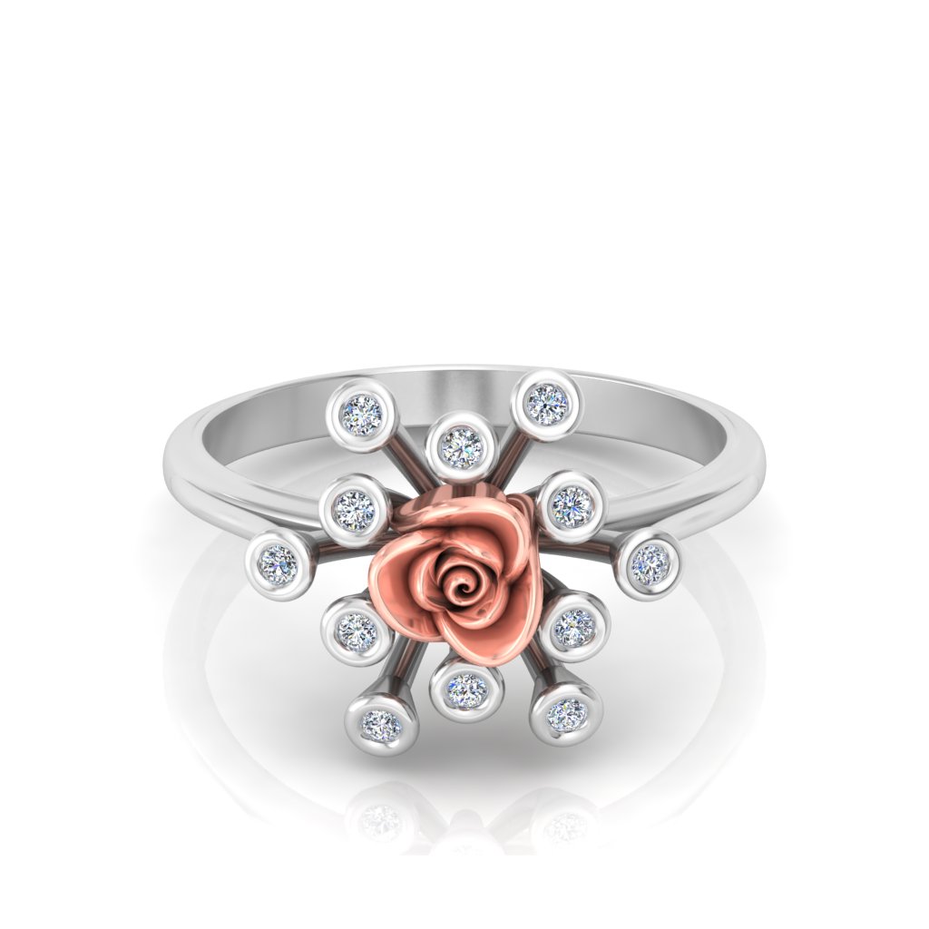Roses view 4