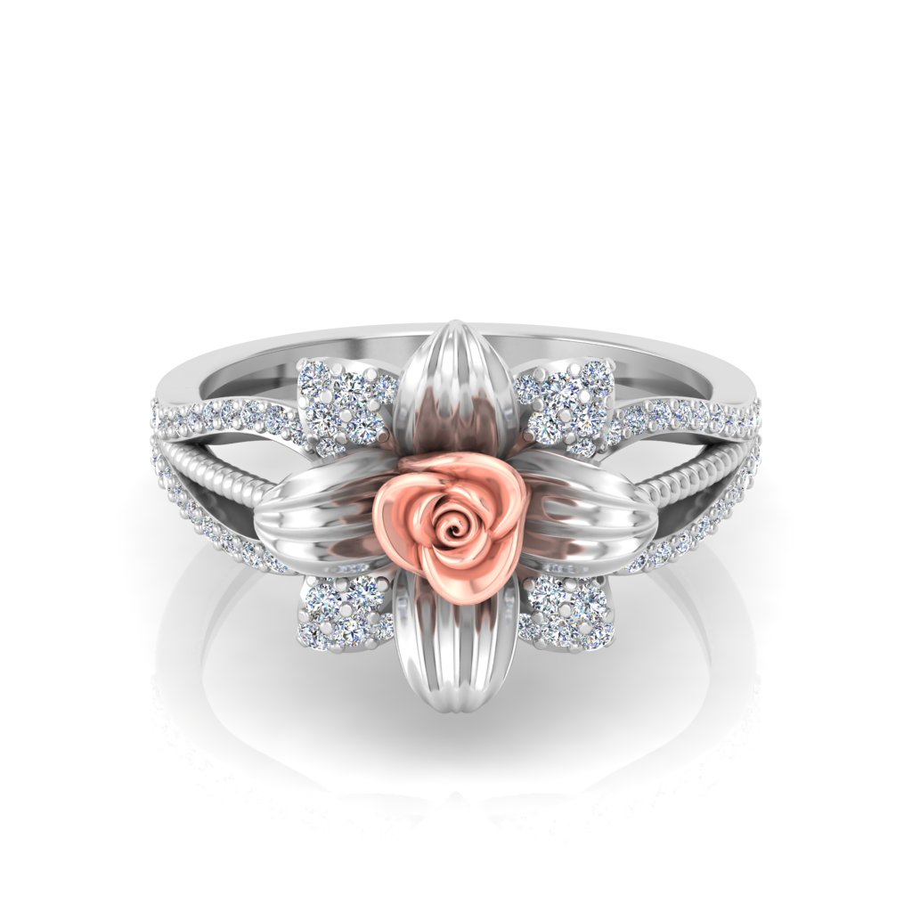 Roses view 4