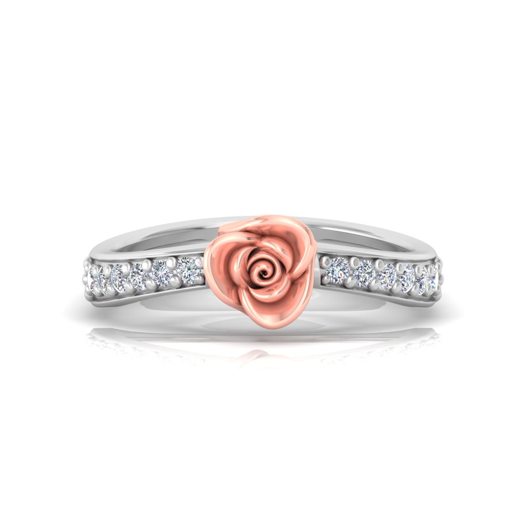 Roses view 4