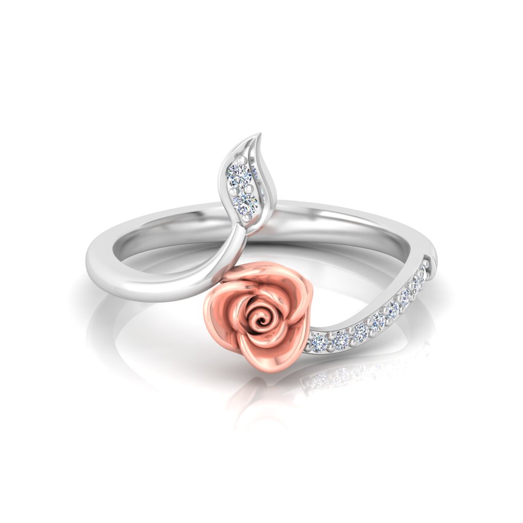 Roses view 4