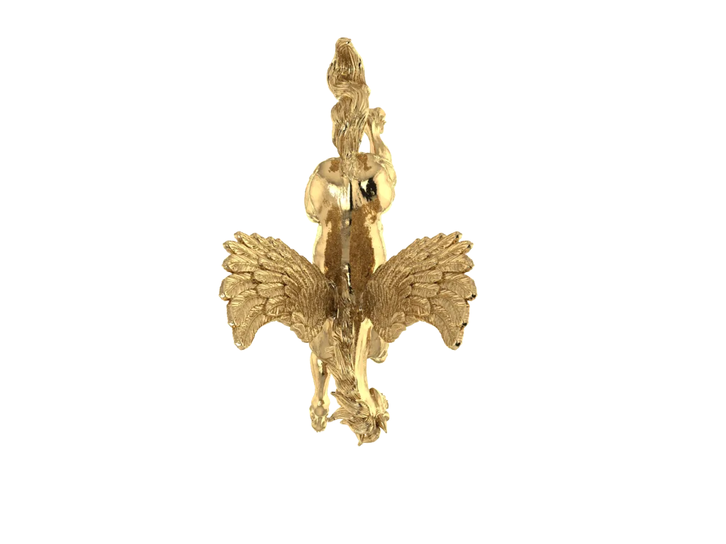 Pegasus view 2