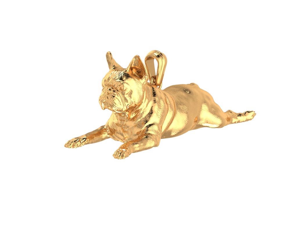 French Bulldog Dog