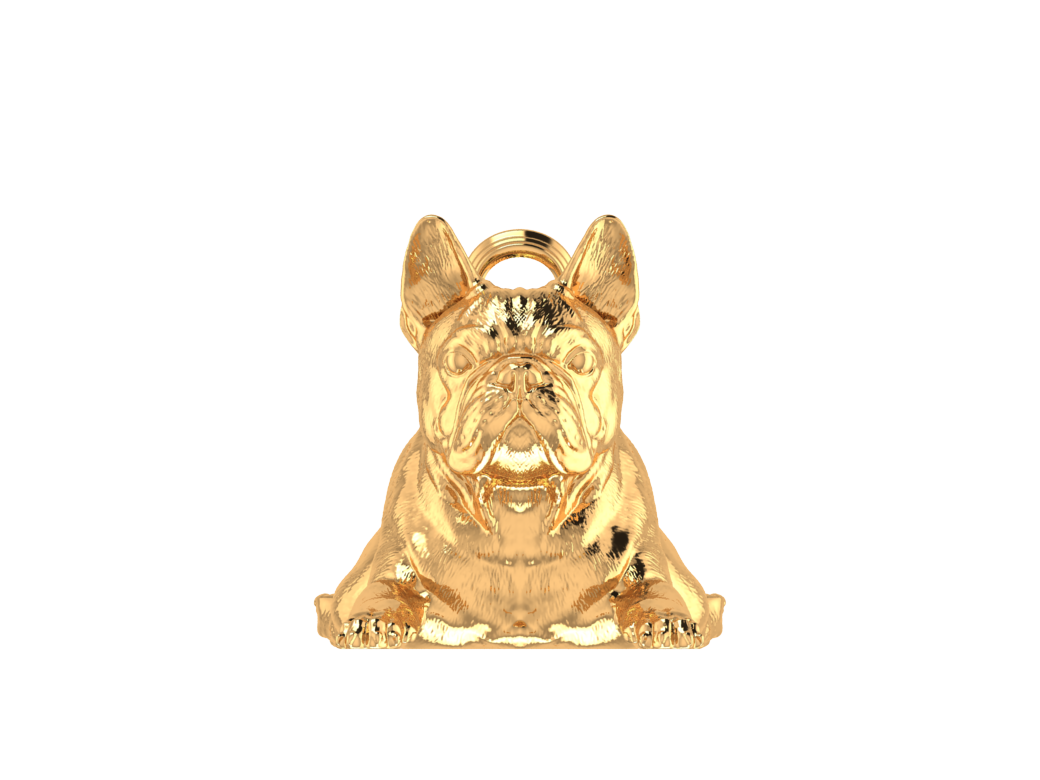 French Bulldog Dog view 4