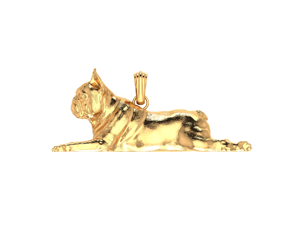 French Bulldog Dog view 3