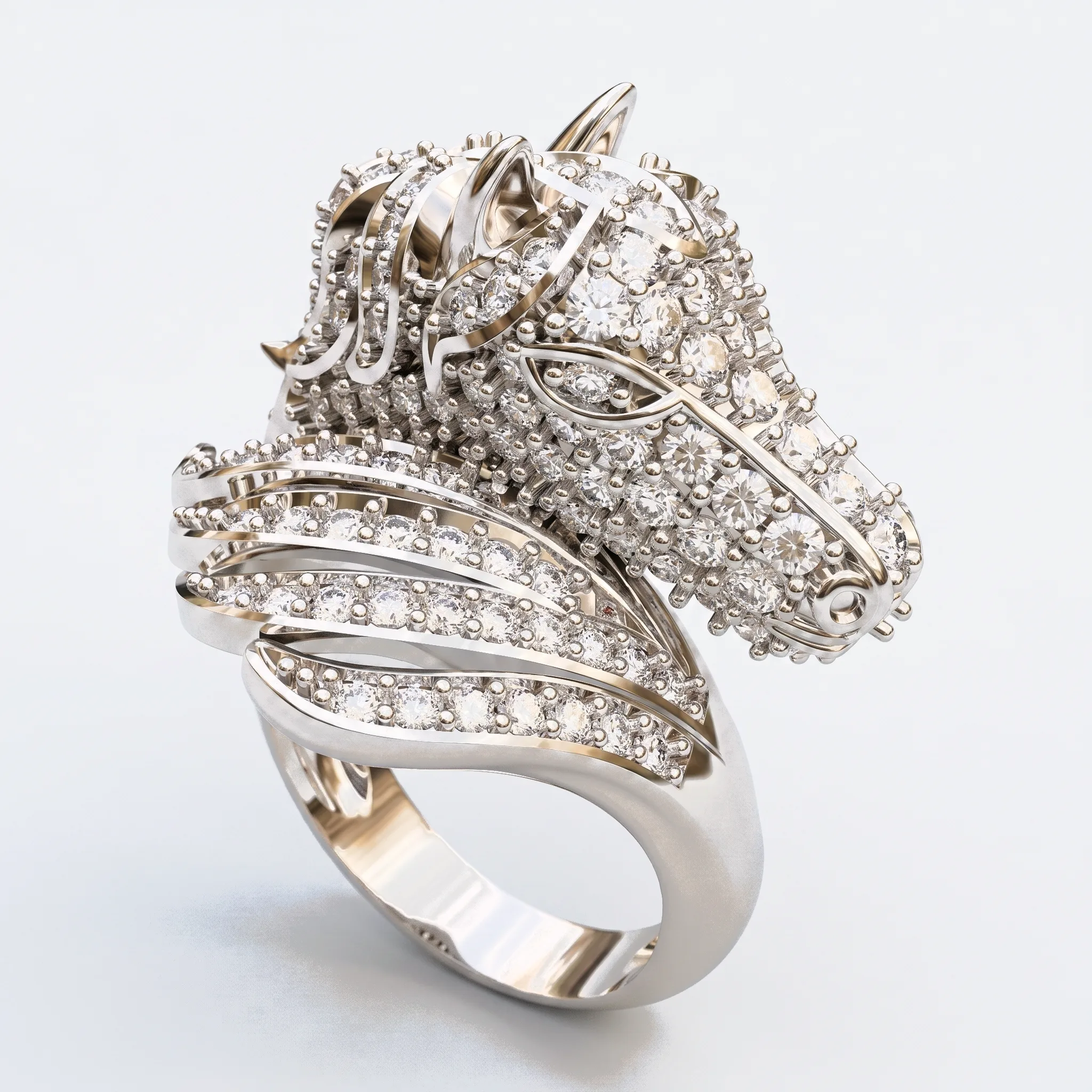 Horse Ring — View 3