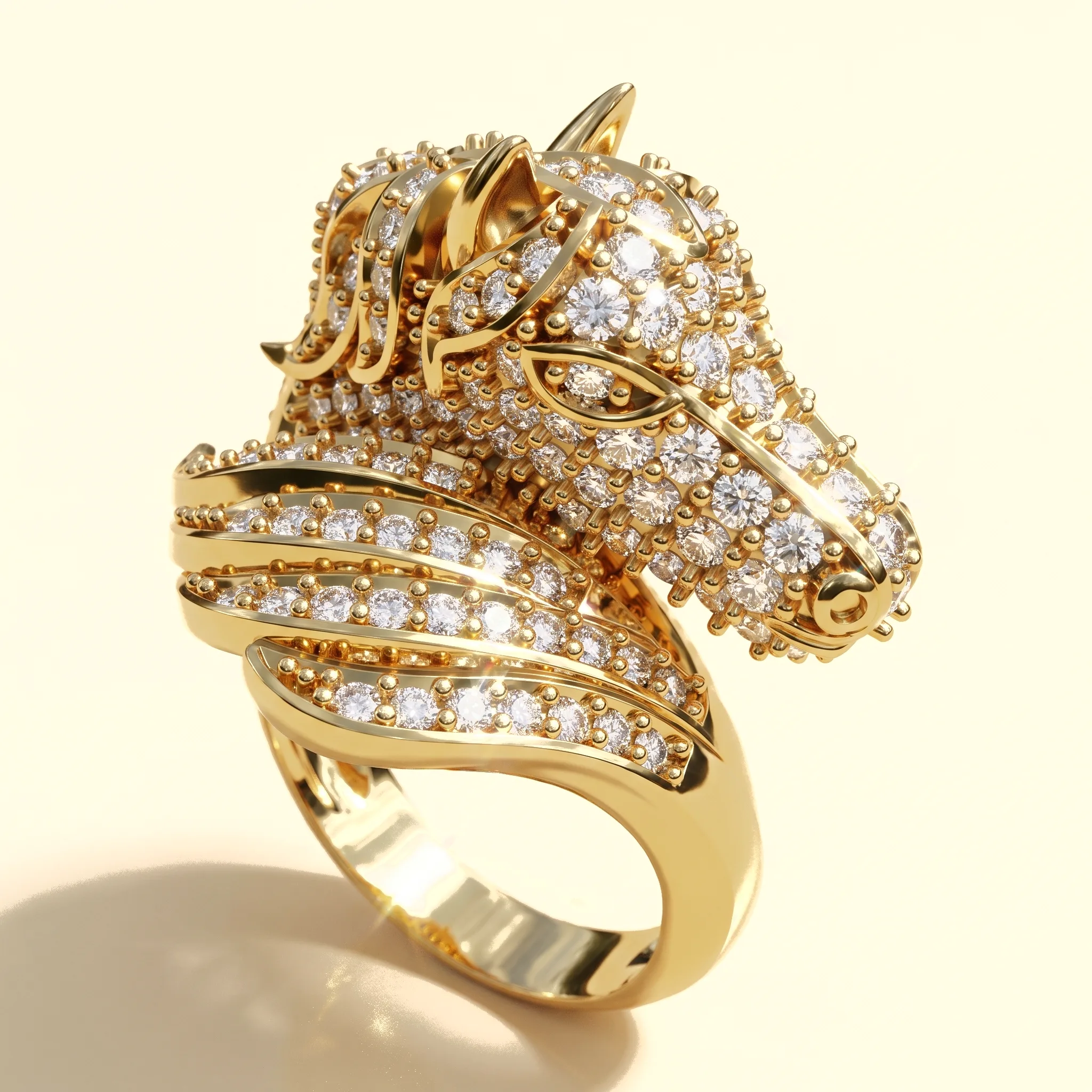 Horse Ring — View 1