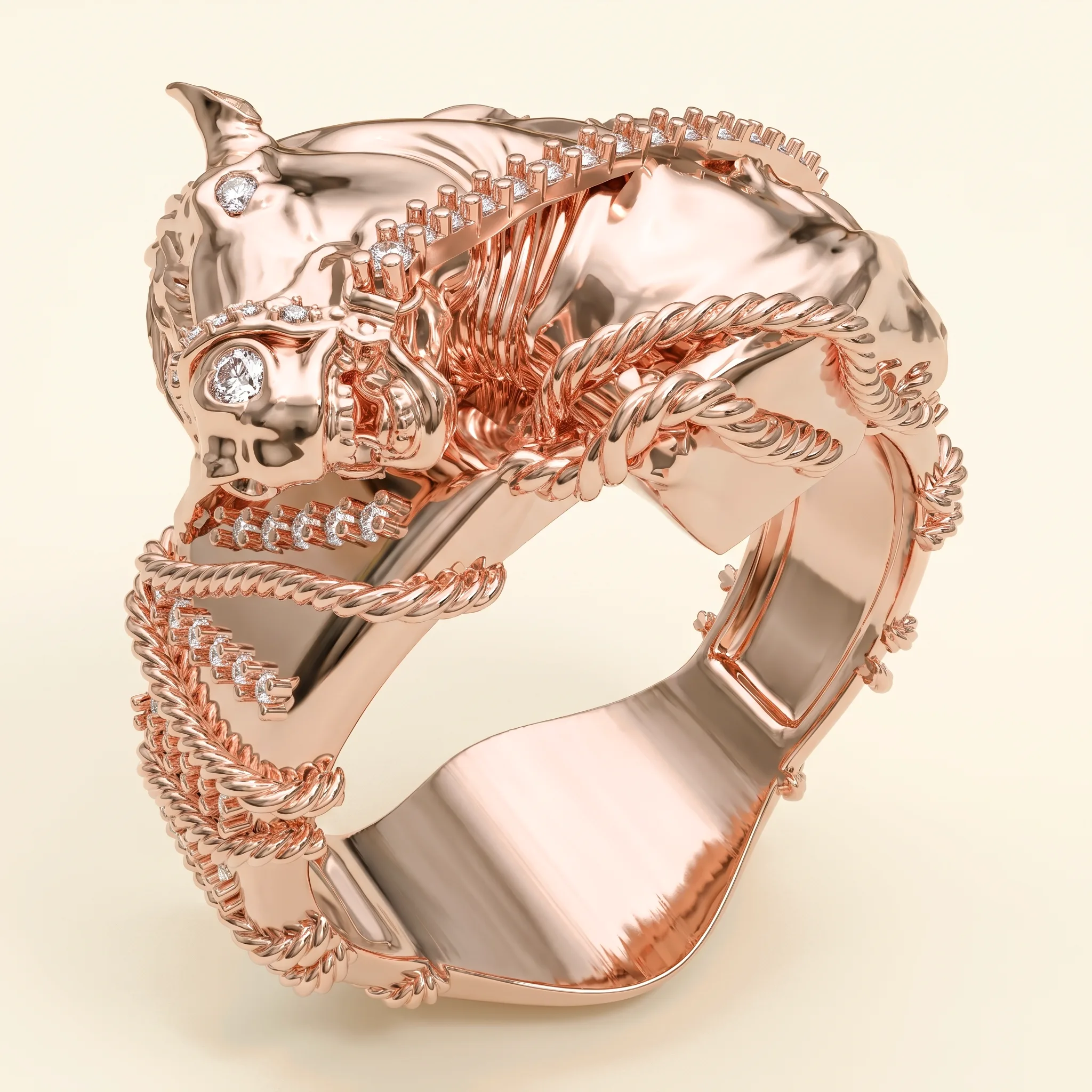 Horse Ring — View 2