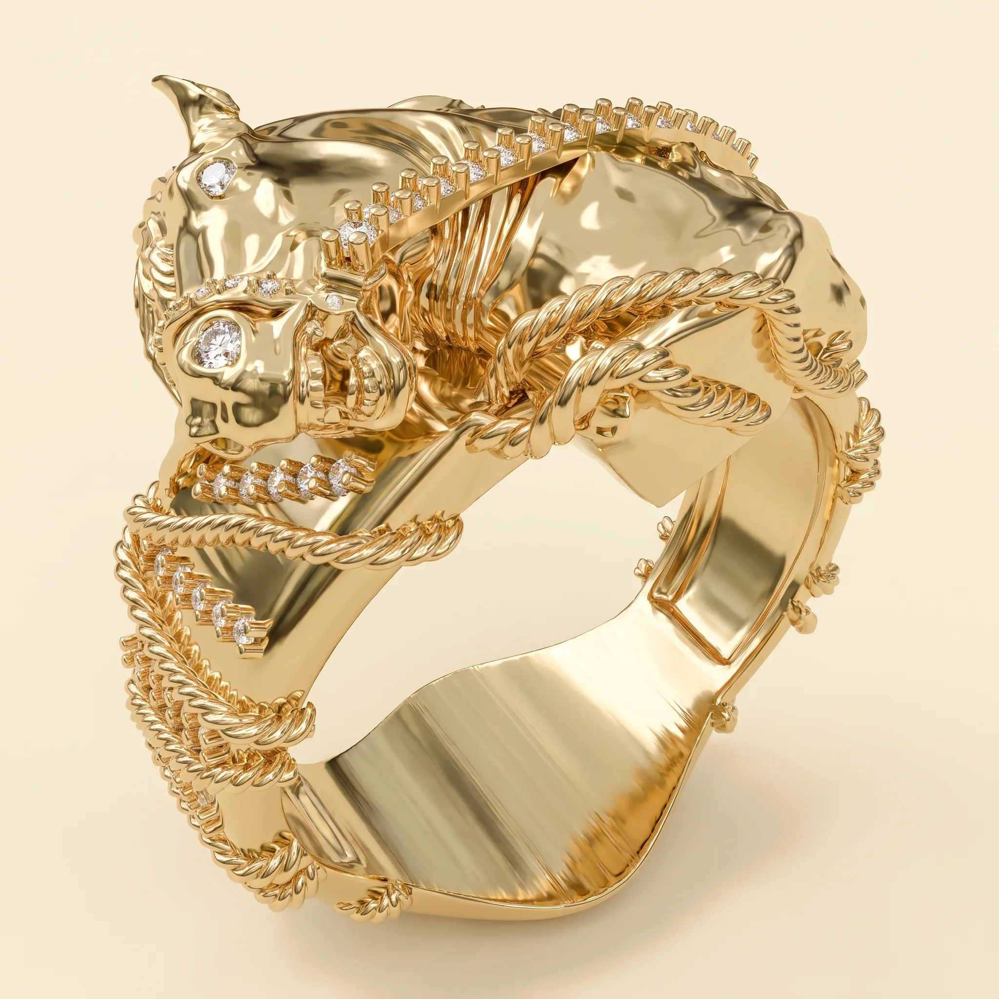 Horse Ring — View 1