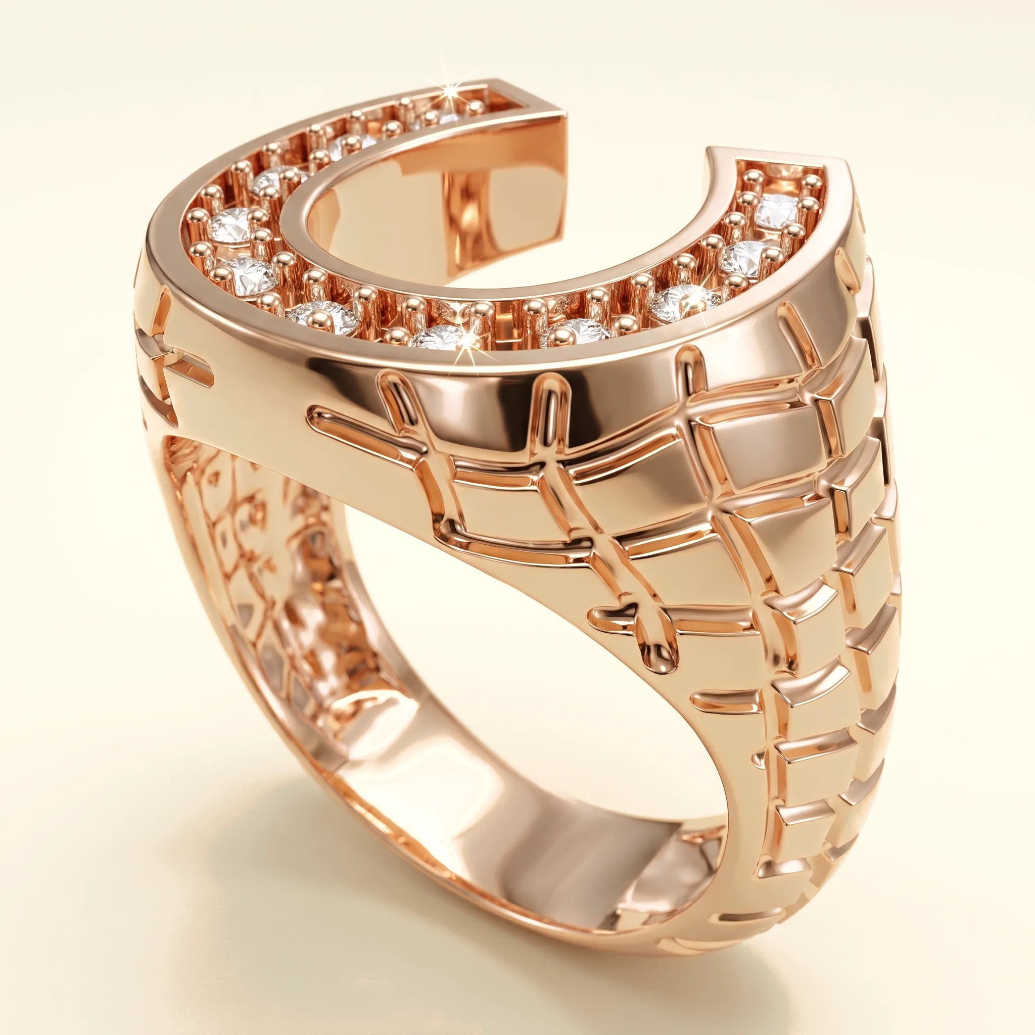 Horse Ring — View 2