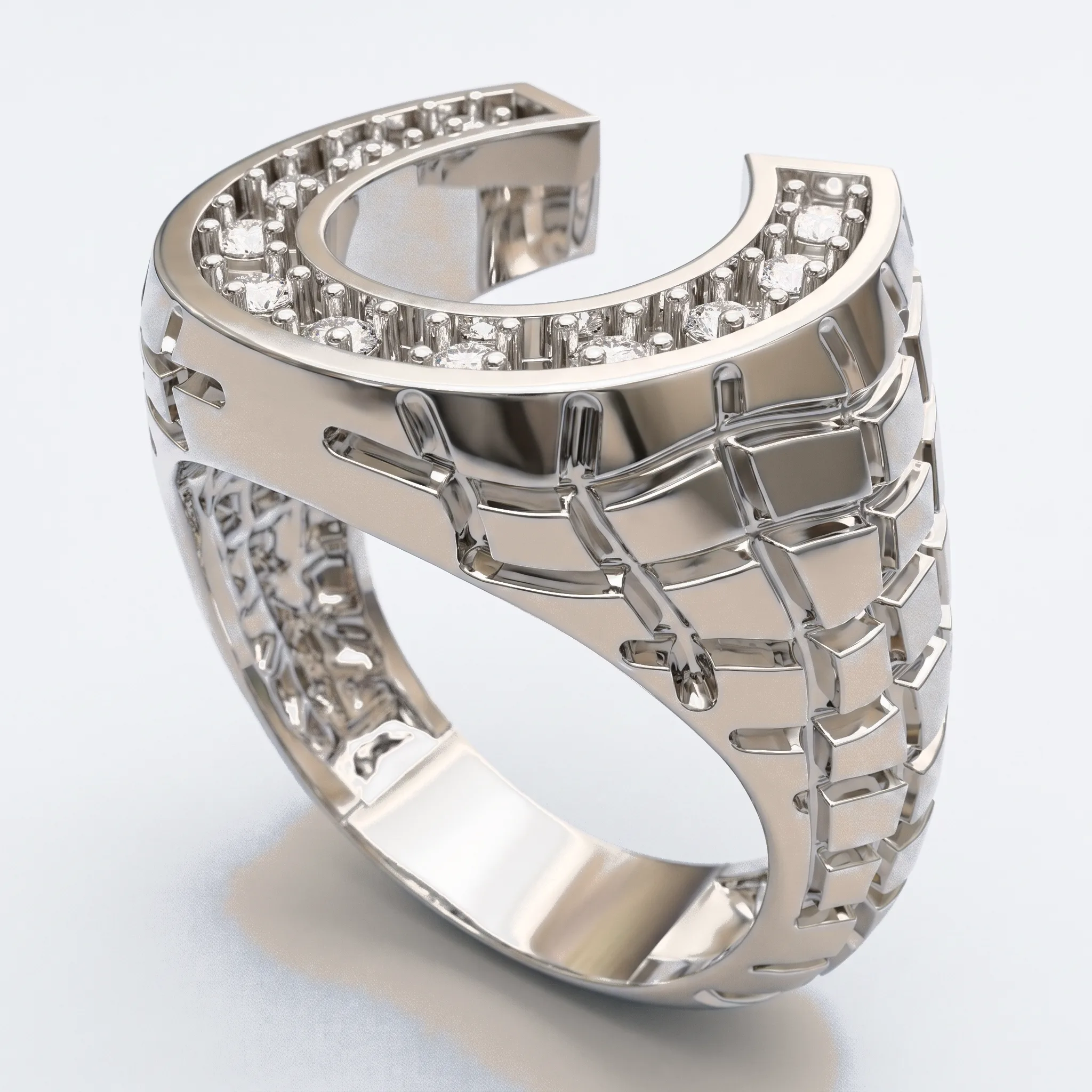 Horse Ring — View 3