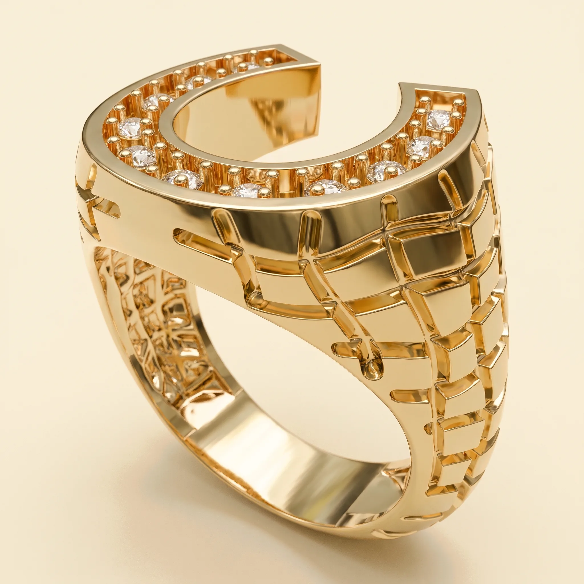 Horse Ring — View 1